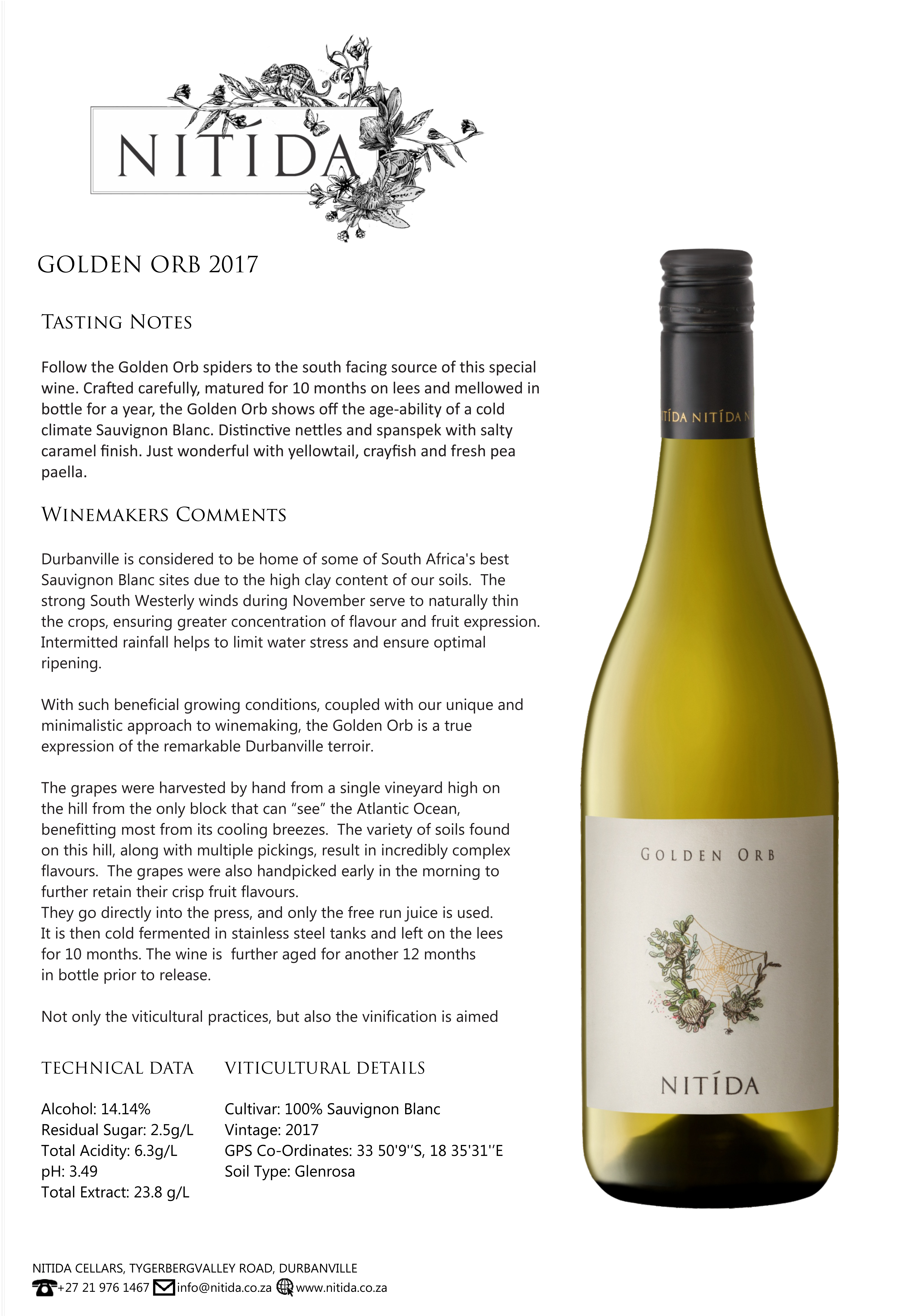 Nitida_Golden-Orb-2017