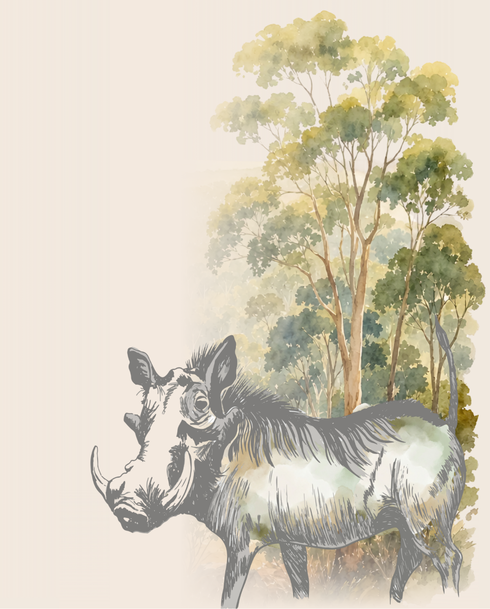 Nitida hidden Warthog label illustration