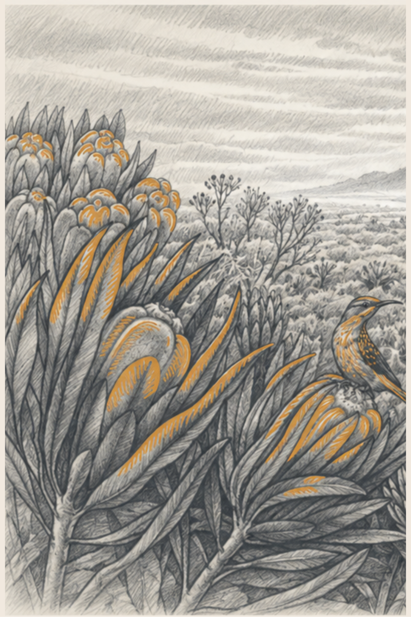 REPLACE: Specific plant or label artwork shown